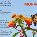 Monarch butterfly poem