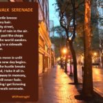 Sidewalk Serenade