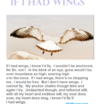 poem - If I had Wings