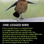 poem - one-legged bird
