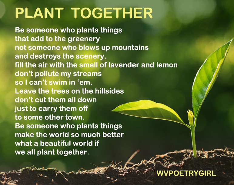 plant-together-noahwriting